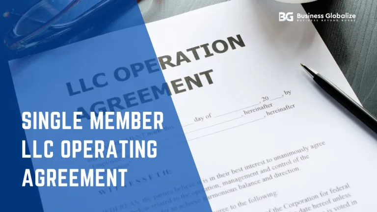 single member LLC operating agreement