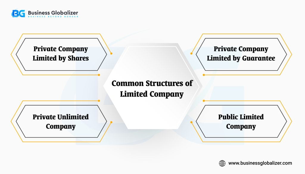 Comprehensive Guide to UK Business Structures 2 Common Structures of Limited Company 1