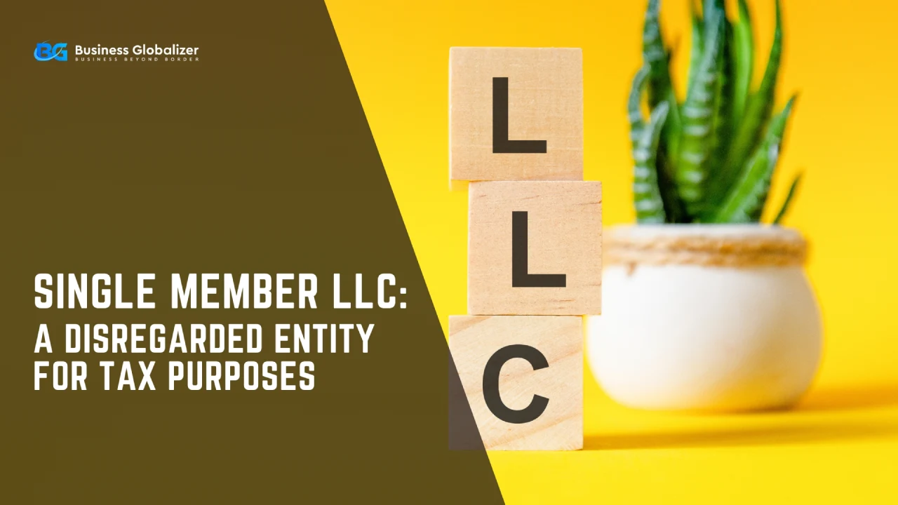 Single Member LLC