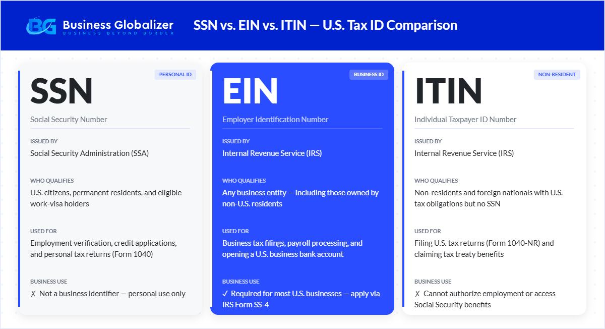 SSN vs EIN vs ITIN comparison card showing key differences for U.S. business owners — Business Globalizer
