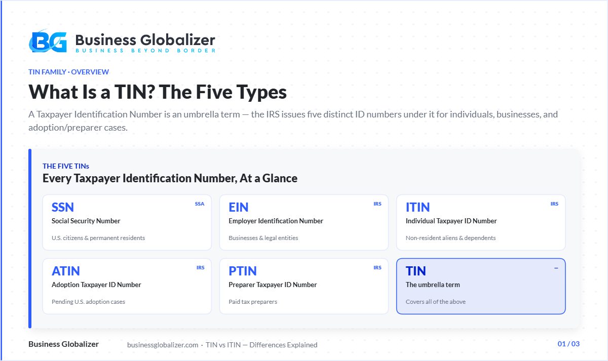TIN vs ITIN — five types of taxpayer identification numbers SSN EIN ITIN ATIN PTIN — Business Globalizer