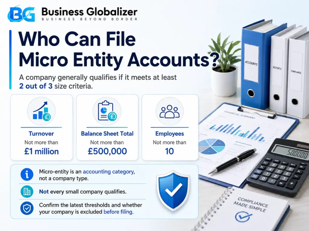 Who can file microentity accounts